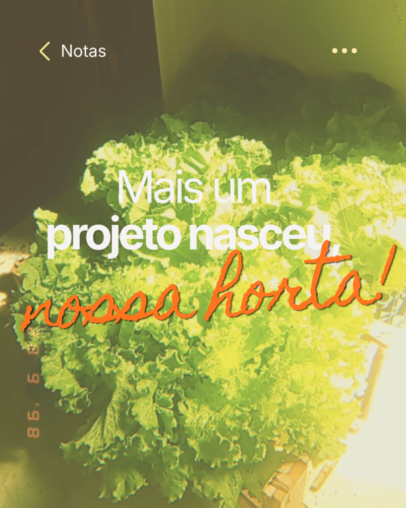 Nasce uma horta! 🥬